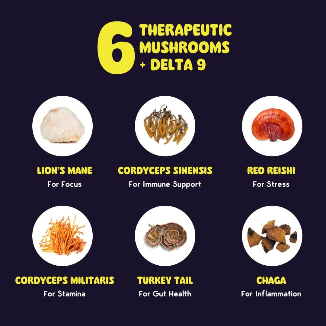 Strawberry Lemonade Mushroom Delta 9 Gummies Strawberry Lemonade Mushroom Delta 9 Gummies