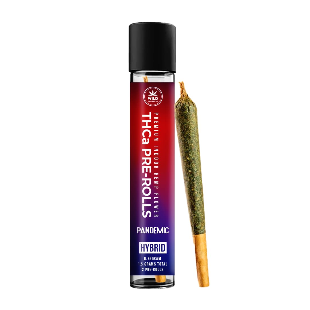 Beside a cylindrical container labeled "THCa Pre-Rolls," which features a black cap and a gradient label transitioning from red to purple, rests a pre-roll joint.
