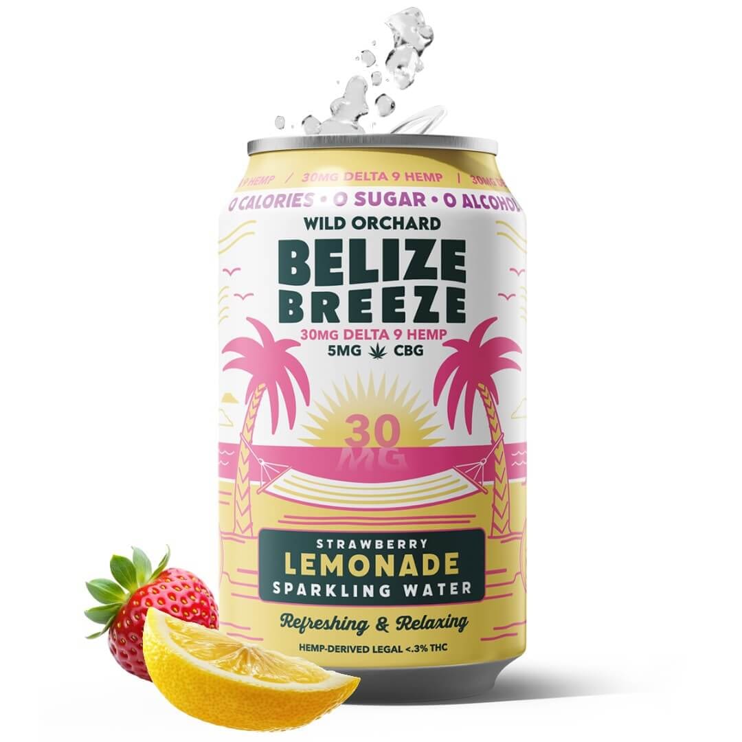 A can of THC Infused Sparkling Water in Wild Orchard Belize Breeze strawberry lemonade flavor with 30mg Delta 9 hemp, displayed with a splash, fresh strawberry, and lemon wedge in front.