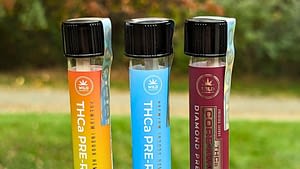 Three glass tubes with black caps cradle THCa Pre-Rolls from Wild Orchard Hemp. Each tube features a distinct label—yellow, blue, and pink—that highlights the product type and brand essence.