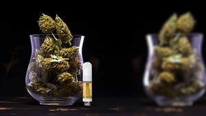 Cannabis in a glass vase with JUUL-Compatible THC Pods vs. 510 Vape Carts in it.
