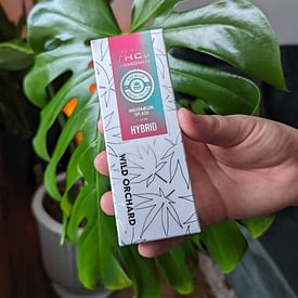 smash hhc disposable vape review Enjoy Hemp - Raspberry Kush 3ml CBD Disposable Vape main image 1