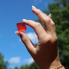 Delta 9 Gummies – Ice Cream Shoppe – Wild Orchard Hemp