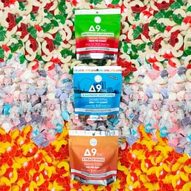 Delta 9 Watermelon and Apple Rings – Wild Orchard Hemp