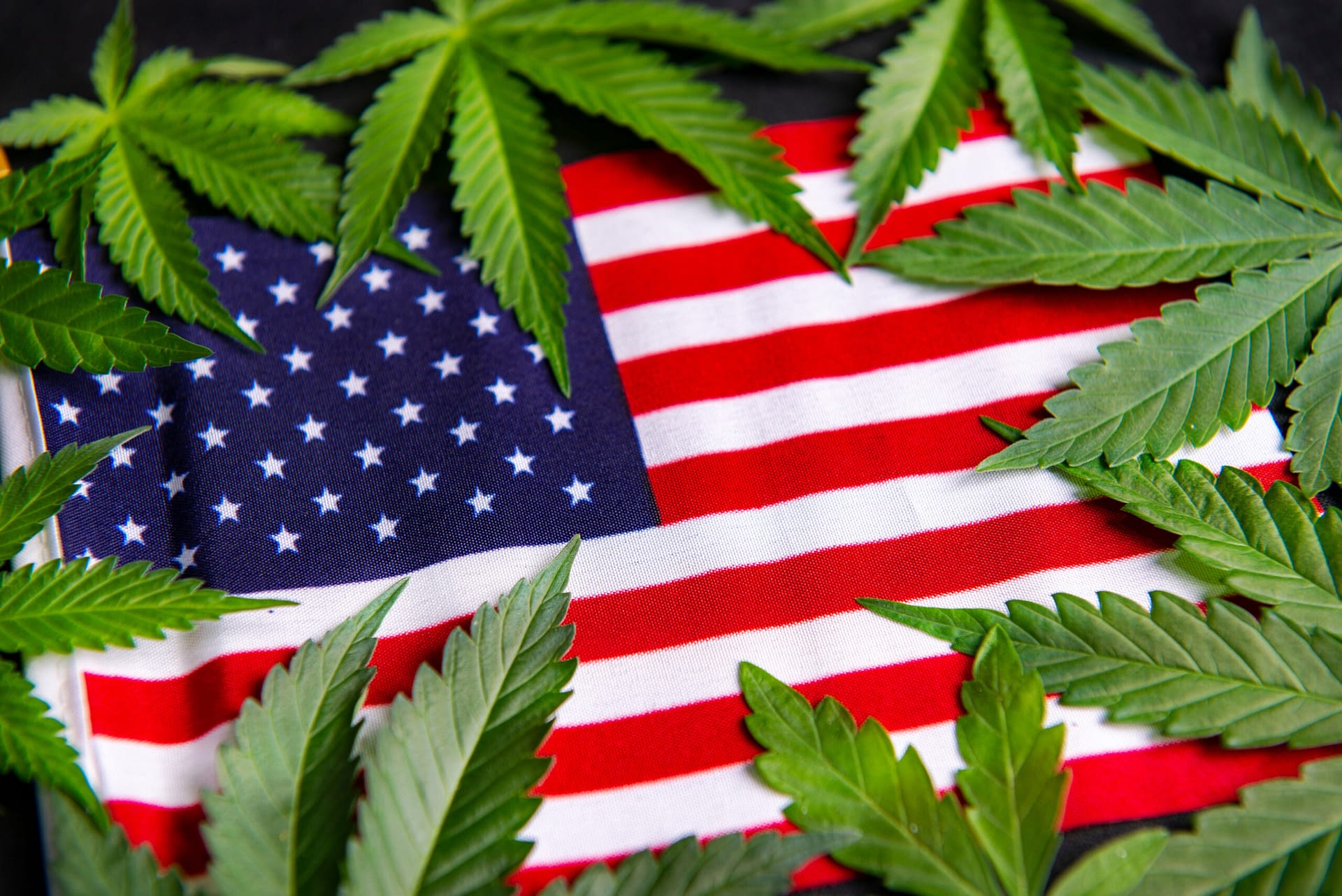 How long does D9 stay in your system | Wild Orchard Hemp